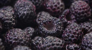 Can This Unique Raspberry Protect Your Heart?